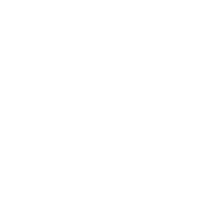 Global Presence Icon